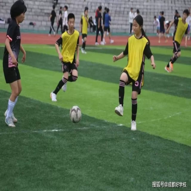 解析网球红土赛程：第303组视角全新洞察