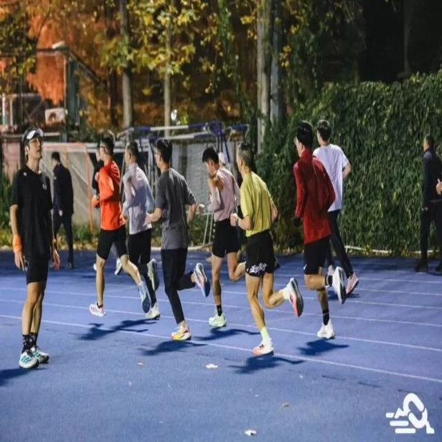 深度解析新闻趋势与数据背后的隐藏价值（fifa club world cup）